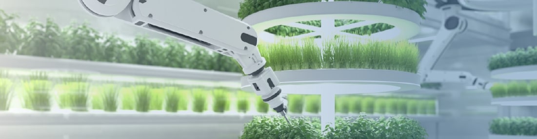 Sector Tecnología